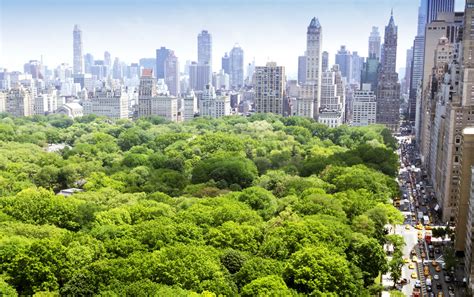 Thanks To Bette Midler New York Plants A Tremendous Number Of Trees