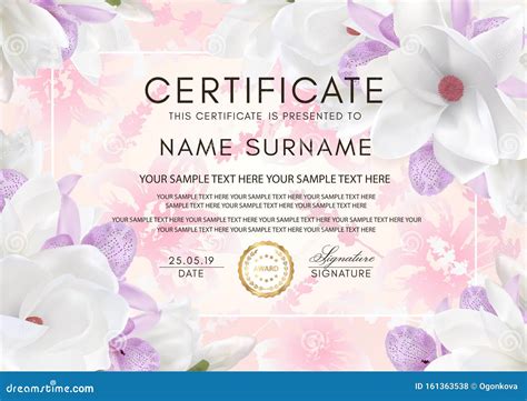 Certificate Vector Template With Flowers Stock Vector Illustration Of