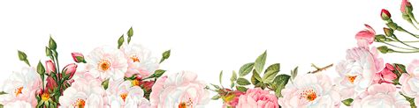 Watercolour Flower Border Png Image Free Searchpng Free Flower Border