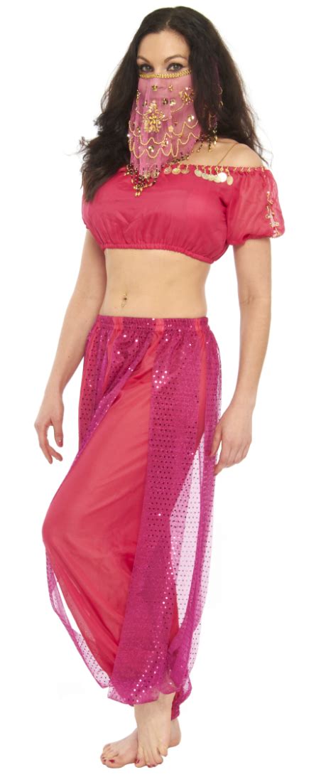 Fuchsia Harem Pants With Sparkle Panels For Belly Dance Costume