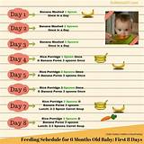 Pictures of 7 Month Old Baby Food Schedule