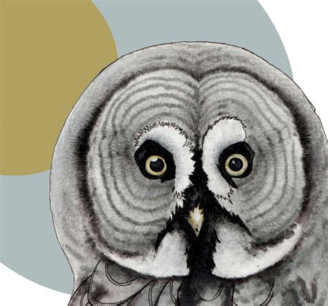 Set Of Birds Of Prey Art Prints Owls Prints Scandinavian Etsy