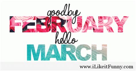 These funny quotes about 2020 are relatable and representative of the struggle that was the past with this wild and crazy year almost behind us, check out these 50 funny quotes about 2020 that. Goodbye February and Hello March - animated gif #1353683 by ilikeitfunny on Favim.com