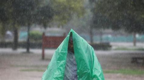 Heavy Rain Batters Pune Tree Falls On Service Van Of Pmpml India Today