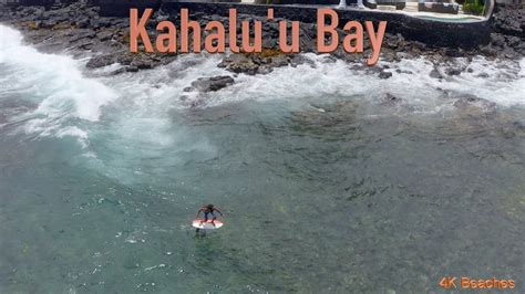 Kahaluu Bay Surfing Snorkling Foilboard Kona Hawaii Coastline 4k