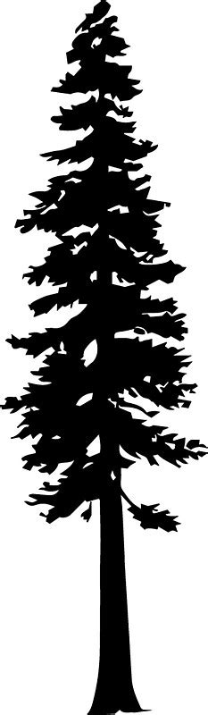 Redwood Tree Silhouette Vector At Collection Of