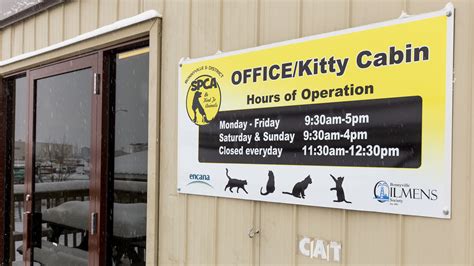 We always encourage potential adopters to think about all of the responsibilities and expenses associated with owning a pet because we want to ensure that adopters are up to the task and ready for the commitment for the life of the pet. Pets for Adoption at Bonnyville District SPCA, in ...