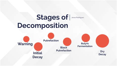 Stages Of Decomposition By Jesse Rodriguez On Prezi