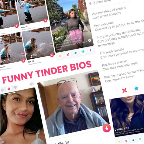 Funny Tinder Bios That Will Make You Swipe Right Lol Gifs