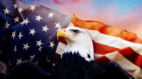 Usa.com provides easy to find states, metro areas, counties, cities, zip codes, and area codes information, including population, races, income, housing, school. American Eagle USA Independence Day 4th July Events QHD Wallpaper - Wallpaper - Vactual Papers