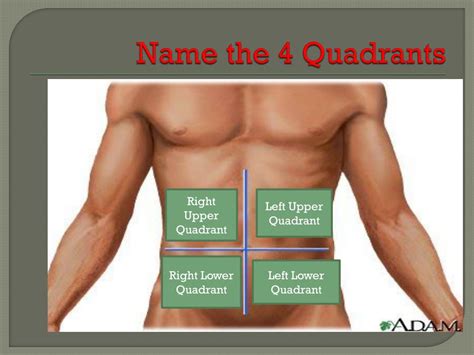 Right Upper Quadrant Diagram