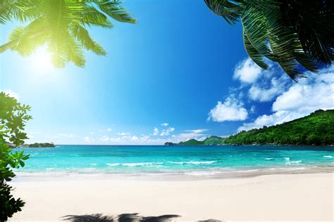 Beach Summer Palms Ocean Tropical Paradise Sea Sunshine Wallpaper