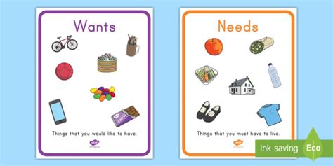 Needs and Wants Posters (teacher made)