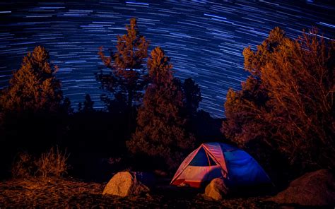 Download Wallpaper 1440x900 Tent Trees Starry Sky Long Exposure