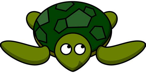 Cartoon Green Turtle Free Image Download
