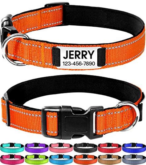 Joytale Personalized Dog Collar With Engraved Slide On Id Tagscustom