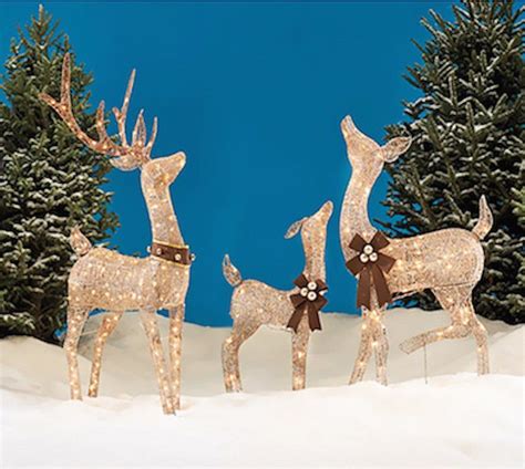 Outdoor Christmas Deer Set