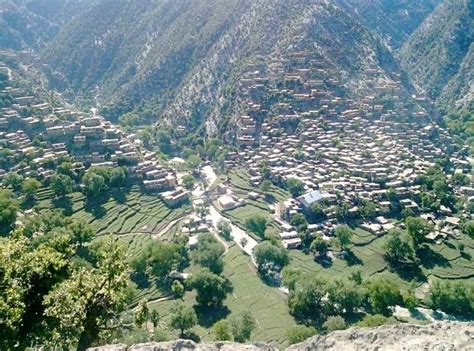 The Taliban Must Stop Deforestation In Nuristan Province Afghanistan