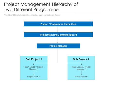 Project Management Hierarchy Of Two Different Programme Presentation