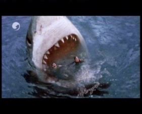 Maybe you would like to learn more about one of these? Shark Attack 3 - Megalodon - BADMOVIES