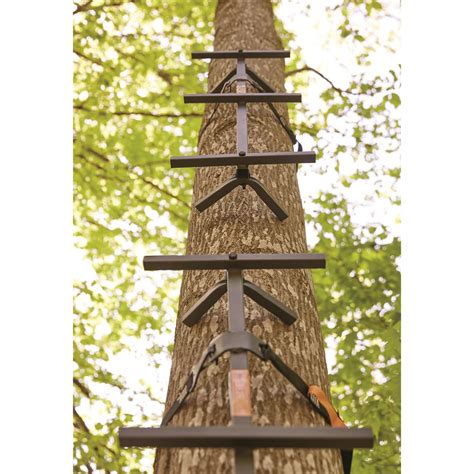 Blinds And Treestands Tree Climbing Sticks 25 Ft Ladder Stick For