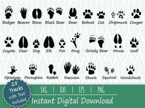 Animal Tracks Svg Animal Prints Svg Animal Footprints Svg Etsy