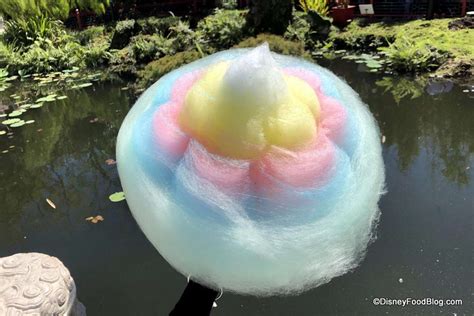 Epcot Now Selling Giant Multi Layered Cotton Candy Wdwmagic