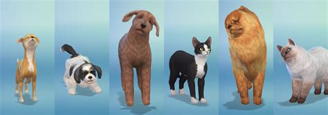 And you've got to love those graphics! Breeds in The Sims 4 Cats and Dogs - Sims Online