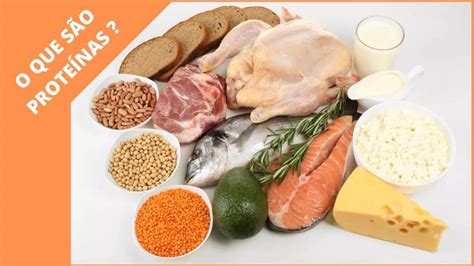 Qual A Importância Das Proteínas