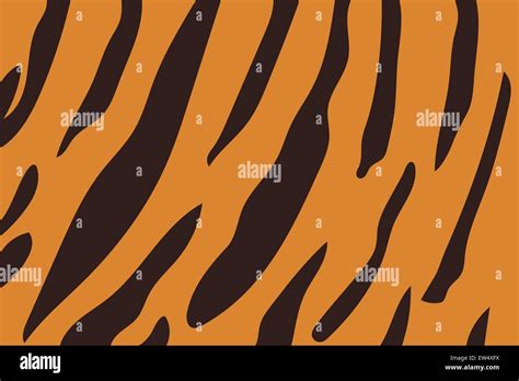 Vector Illustration Of Tiger Stripe Pattern Beautiful Pattern Made By