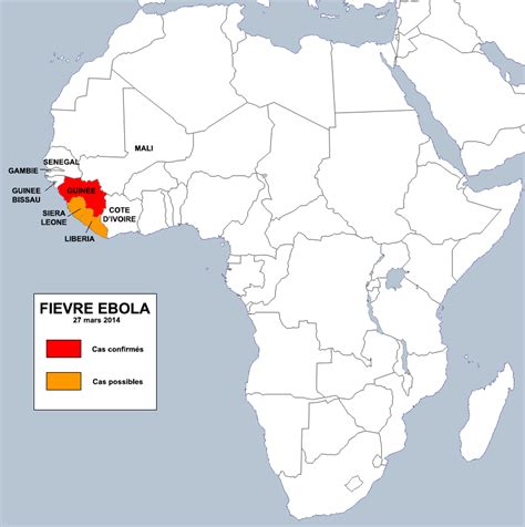 Dose regimen of favipiravir for ebola virus disease. Virus Ebola : conseils aux voyageurs - Urgences-Online