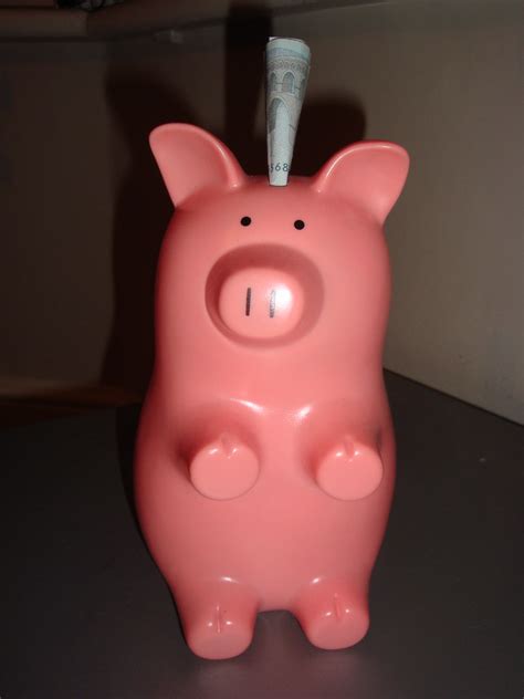 03032010 My Piggy Bank Sporting A Euro Mohawk Finally E Flickr