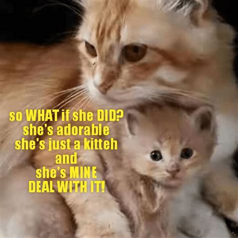 Mom Cat Always The Best Defense 9214095616