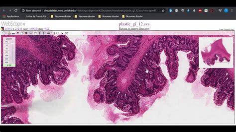 0:55 svt z 19 860 просмотров. SVT cycle 4 : Réalisation d'un schéma fonctionnel sur l ...