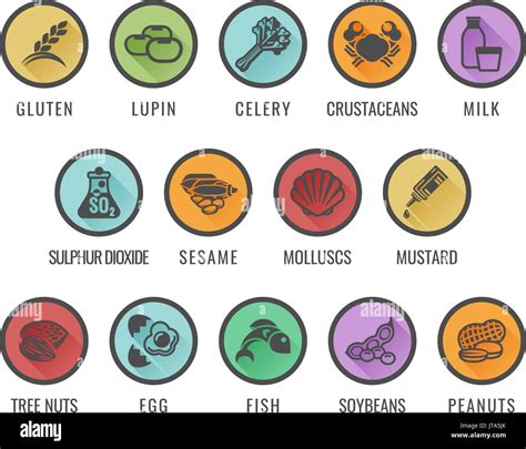 Essen Allergen Allergie Symbole Stock Vektorgrafik Alamy