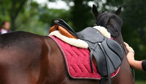 Horse Tack Supplies And Saddle Accessories Next Day Delivery Farm