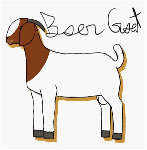 Transparent Goat Clip Art Boer Goat Clip Art Hd Png Download Kindpng