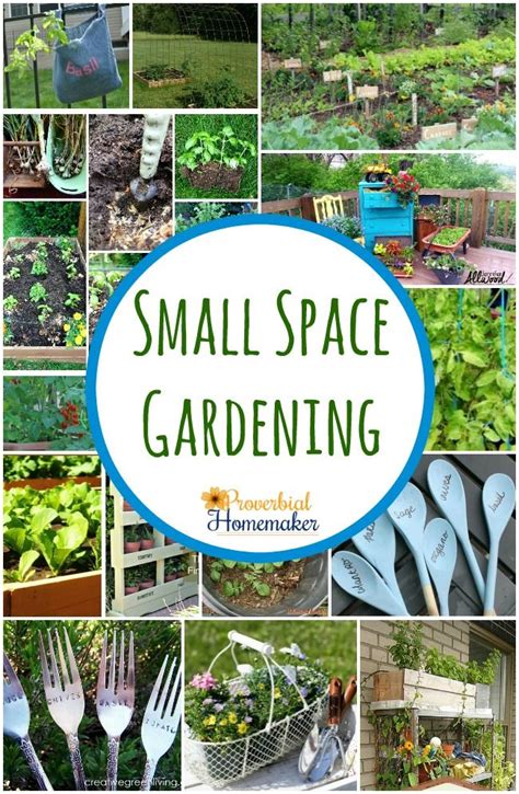 Small Space Gardening 20 Great Ideas Small Flower