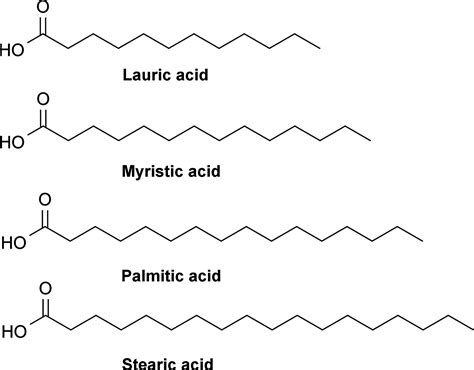 Fatty Acids Long Chain Fatty Acid
