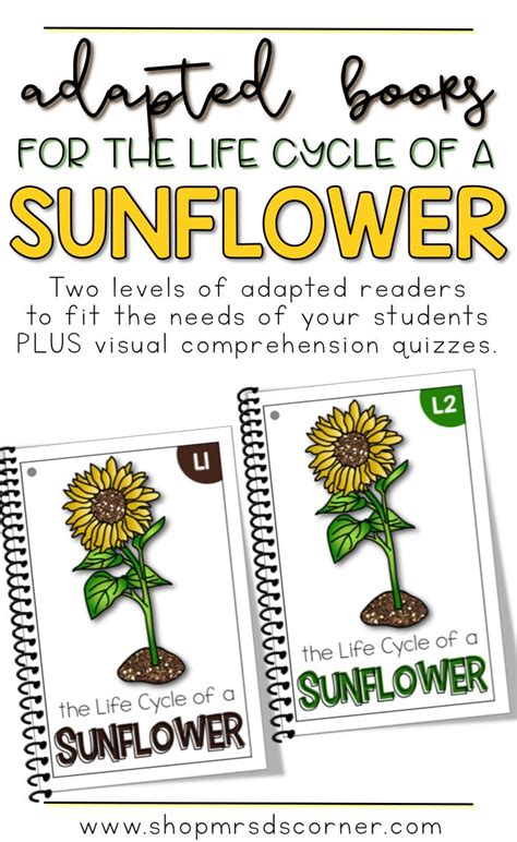 Sunflower Life Cycle Adapted Book Level 1 And 2 Life Cycle