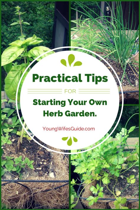 Starting an herb garden can feel a little overwhelming at times, but i promise it isn't that hard. Practical Tips for Starting Your Own Herb Garden