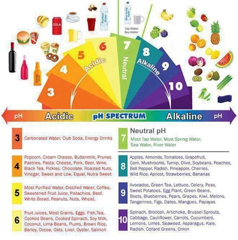 Acidic Alkaline Chart Isagenix Acidic Food Chart Acidic And