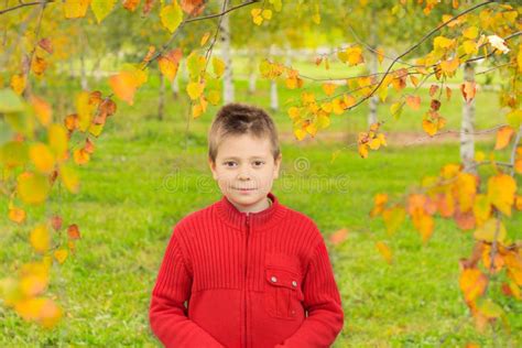 Boy In Autumn Park Stock Image Image Of Caucasian Fall 7665551