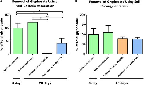 frontiers isolation biochemical and genomic characterization of glyphosate tolerant bacteria