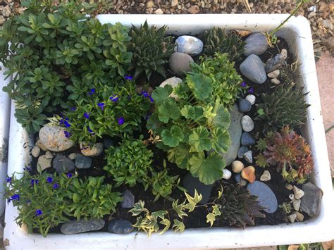 Belfast sink planter love this | Diy garden projects, Garden projects