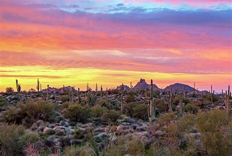 Brilliant Arizona Desert Sunrise With Pinnacle Peak In Background