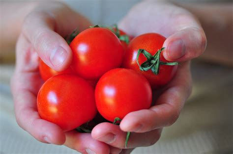 Campari Tomato Sweet Vine Tomatoes Exotic Fruit Vegetables Plant Seed