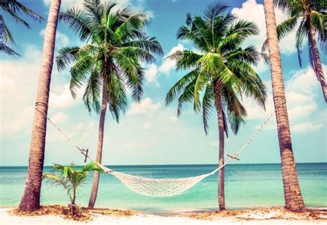Fotobehang Prachtig Strand Hangmat Tussen Twee Palmbomen Op Het Strand Vakantie En Vakantie