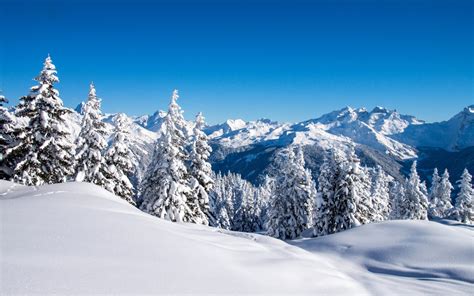 Landscape Mountain Snow Forest Wallpapers Hd Desktop