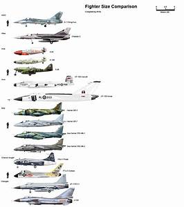 Fighter Size Comparison American Infographic